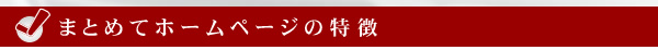 まとめてホームページメイクとは？